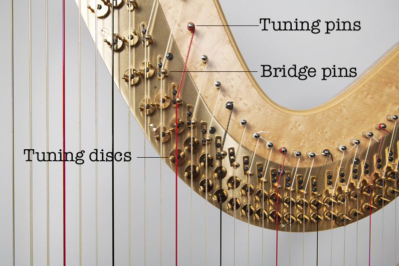 Tuning discs, bridge pins and tuning pins.